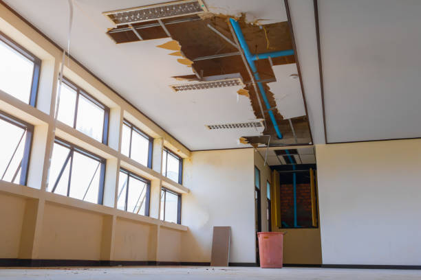 Best Flooded house restoration  in Asbury, IA