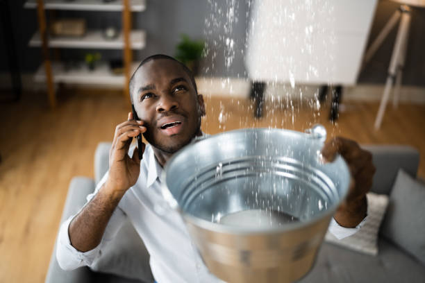 Best Flood restoration services  in Asbury, IA