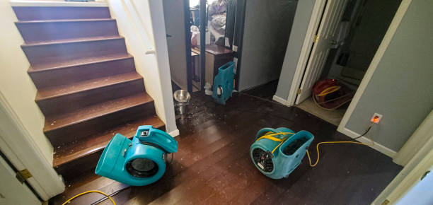 Best Fire Damage Restoration  in Asbury, IA