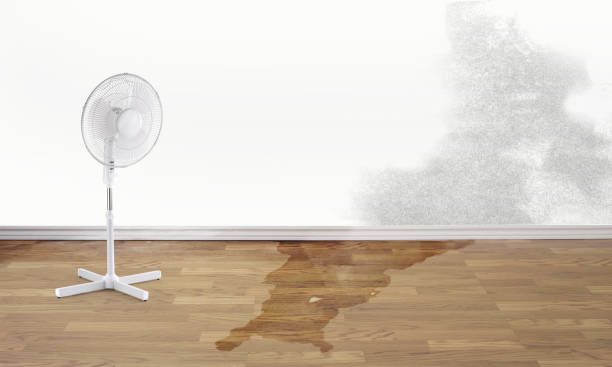 Best Water damage restoration near me  in Asbury, IA