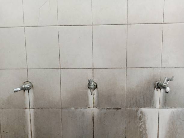 Best Sewage cleanup and water damage restoration  in Asbury, IA