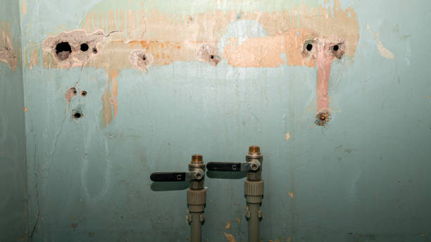 Best Flood damage cleanup  in Asbury, IA