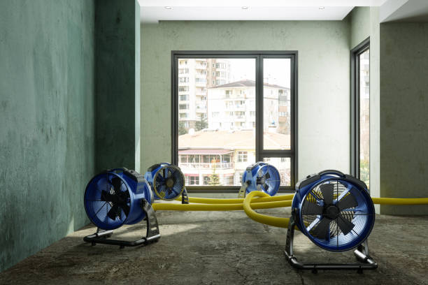 Best Commercial water damage restoration  in Asbury, IA